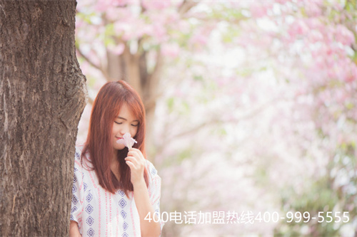 (400電話申請(qǐng)服務(wù)商選什么)(400電話辦理怎樣選擇代理商?應(yīng)該以什么為依據(jù)?)