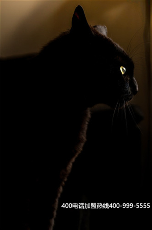 (移動手機撥打400電話收費嗎?)(400電話辦理具體的收費標準是什么?)